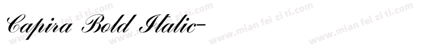 Capira Bold Italic字体转换